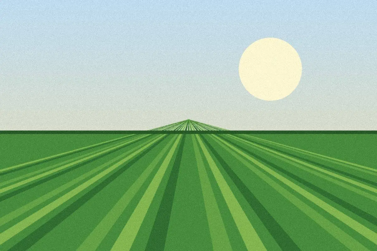 Sample illustration